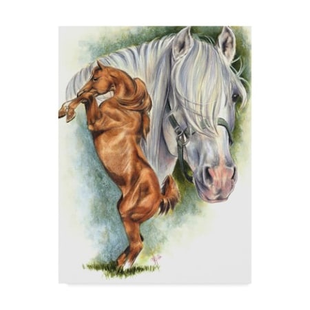 Barbara Keith 'Andalusian Spanish Mustang' Canvas Art,14x19